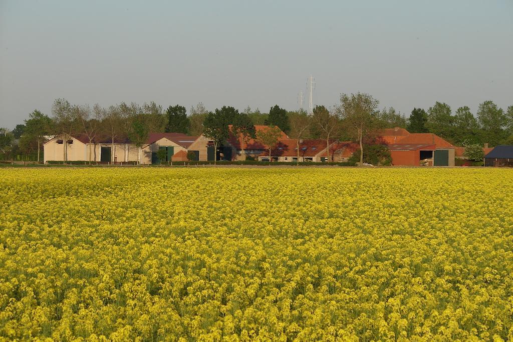 Holiday Home De Colve Brugge Buitenkant foto